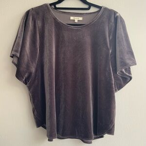 Madewell Velvet Short Sleeve Top in Deep Brown